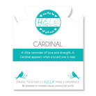 HELP by TJ Cardinal Charm with Aqua Cats Eye Charity Bracelet