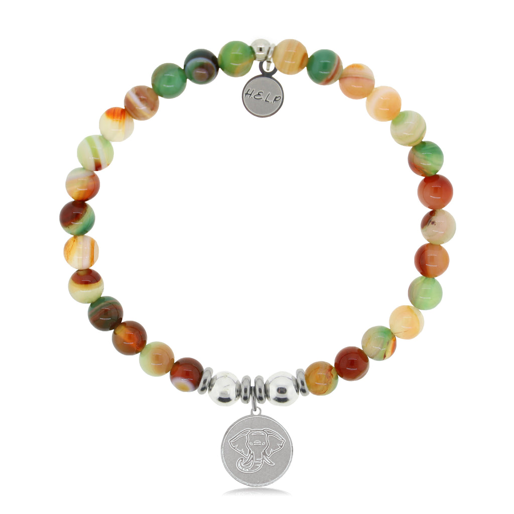 HELP by TJ Lucky Elephant Charm with Multi Agate Charity Bracelet