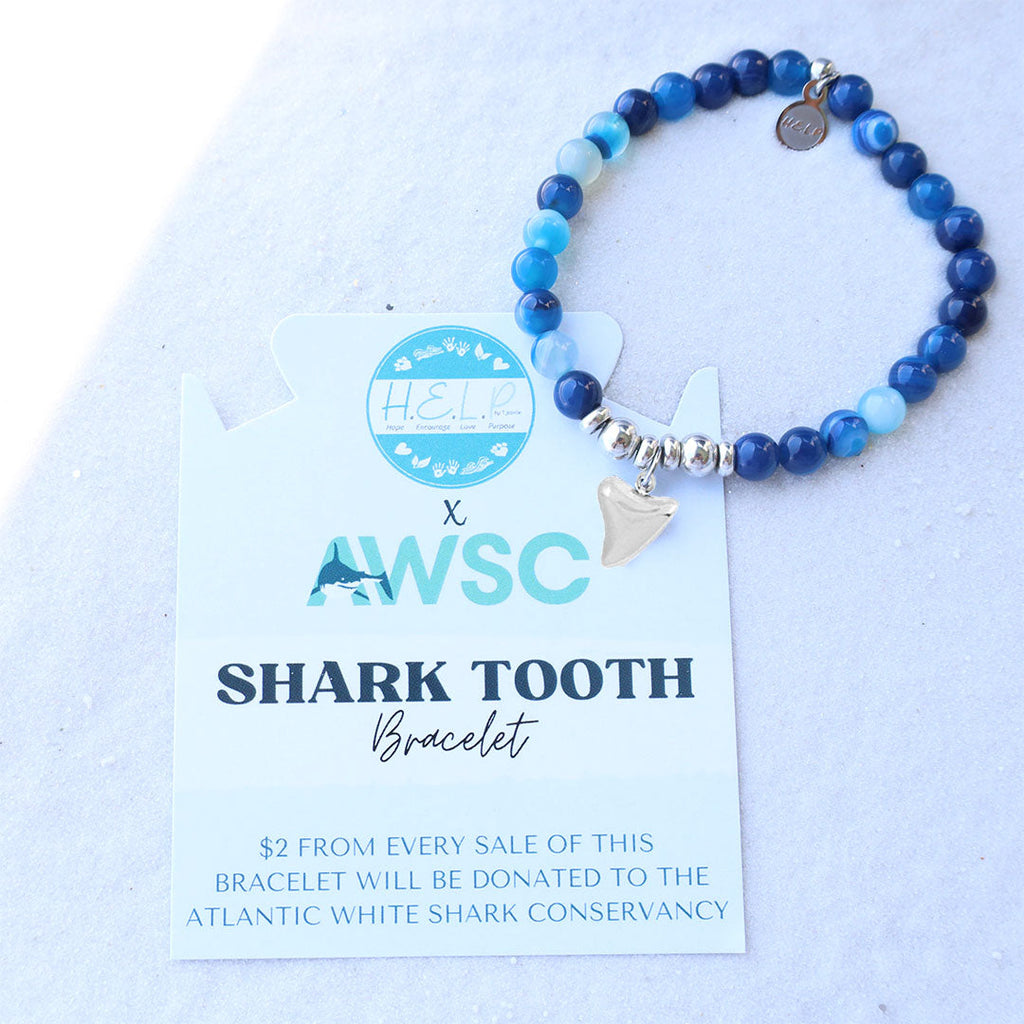HELP by TJ Shark Tooth AWSC HELP Collaboration Bracelet with Blue Aqua Agate Beads